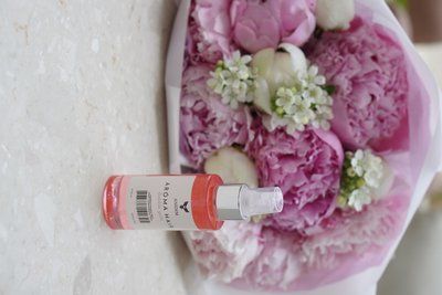 ANIDEM AromaSpray 120ml  bubble gum AN-SPR-BU-120-06 фото