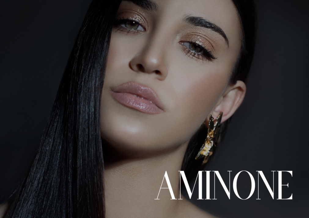 Anidem Catalog
