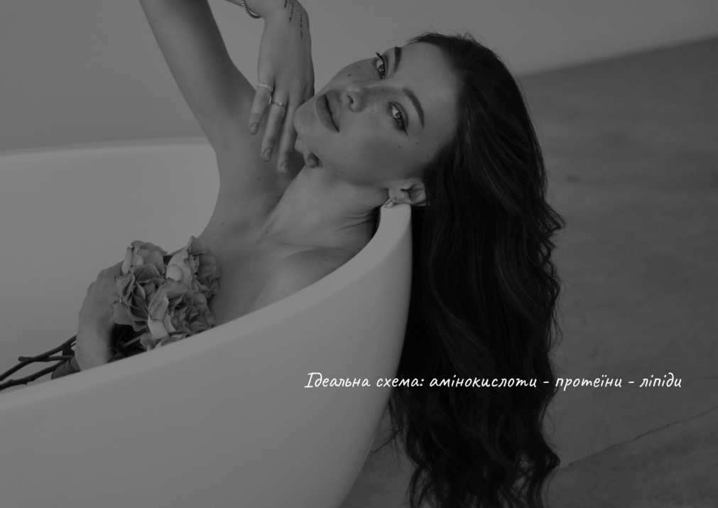 Anidem Catalog